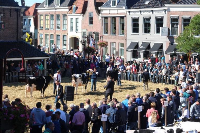 Veekeuringsdag en Stratenconcours — festival in Workum