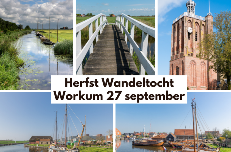 Wandelaars op een herfstwandeling door de groene omgeving rondom Workum, met gouden herfstlicht tussen de bomen.