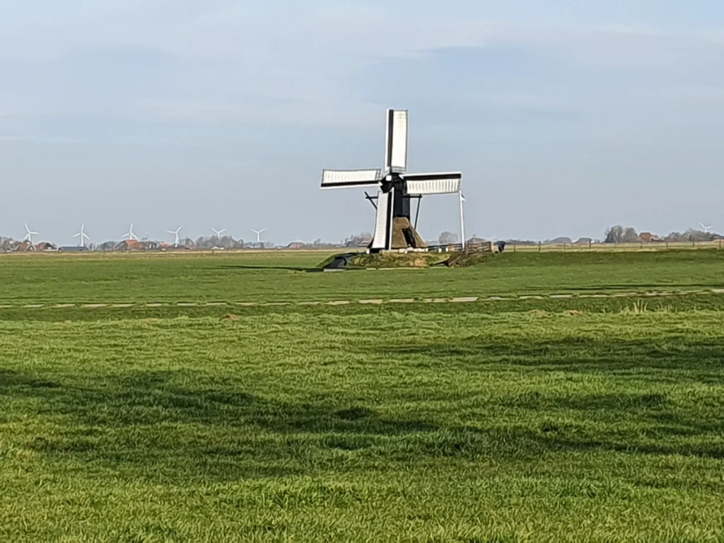 Friese Molendag in Workum