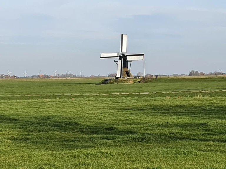 Friese Molendag — open-dag in Workum
